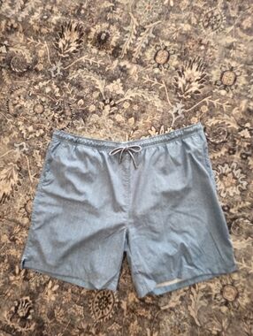 Peter Millar Light Blue Chevron Swim Trunks